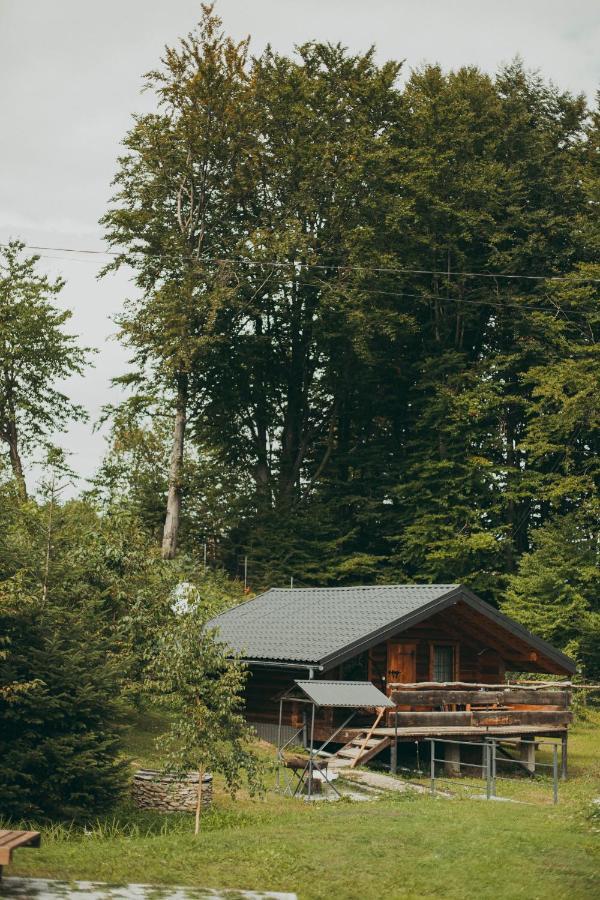 Dolyna Mykolaya Migovo Exterior foto